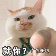 搬砖卖游戏币一般去哪里 搬砖游戏在哪儿卖