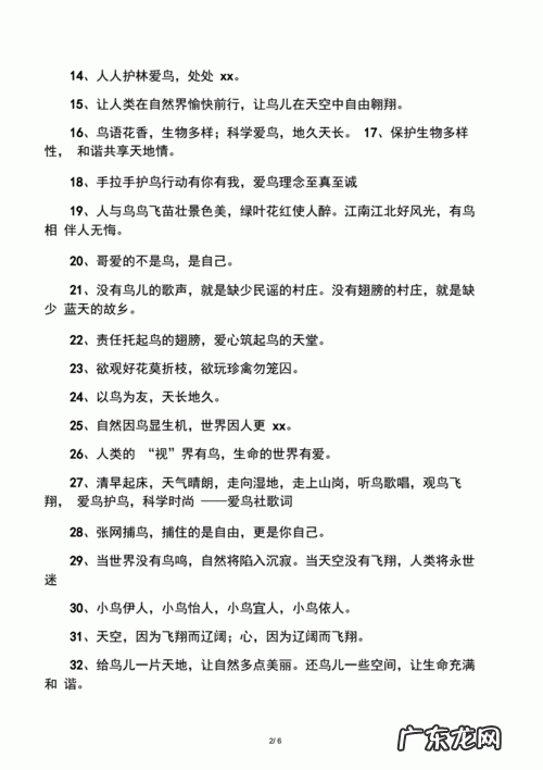 鸟类的宣传标语怎么写