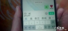 怎么确定不认识的生僻字的发音