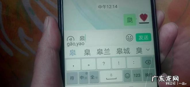 怎么确定不认识的生僻字的发音
