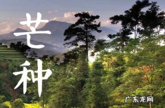 芒种传统习俗有哪些