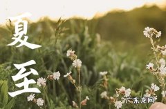 夏至是2023年几月几日