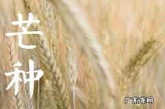 2023年芒种节气适合理发吗
