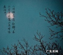 夜静春山空的上一句