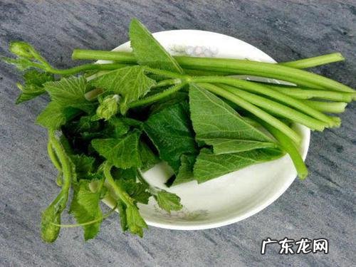 南瓜叶有什么功效啊