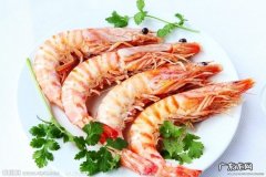 海虾有什么功效作用