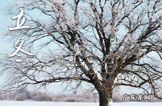 今日立冬祝福语简短一句话2023