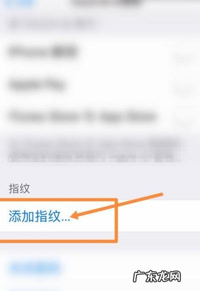 苹果13能指纹解锁吗