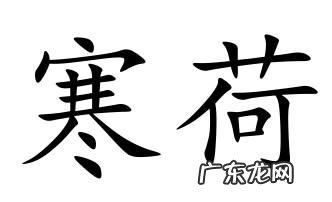 寒荷的寓意