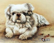 生肖狗一生最旺谁