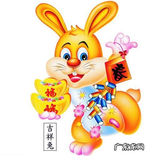 生肖兔最易发财的年龄