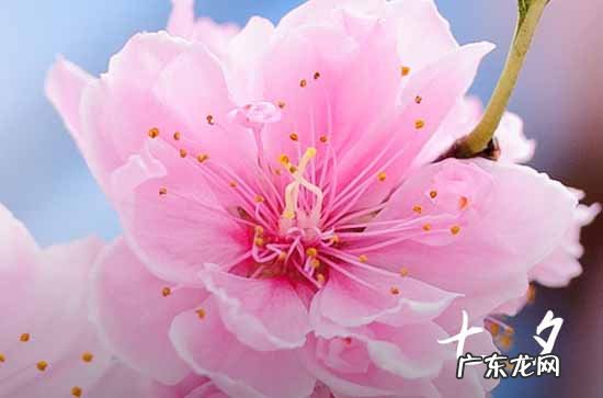 60篇 2023七夕快乐祝福语送女朋友
