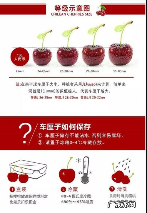 车厘子XLD相当于几个j