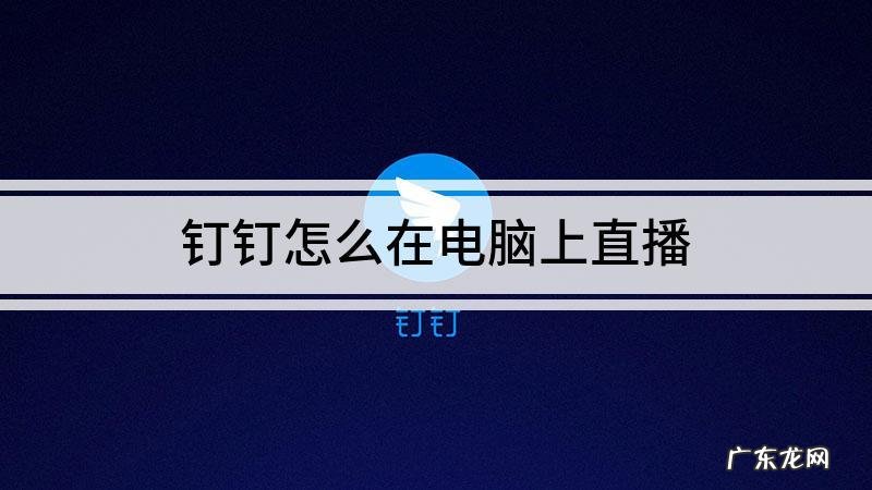怎样在电脑上看春节晚直播