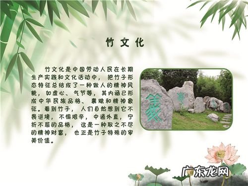 竹的文化寓意