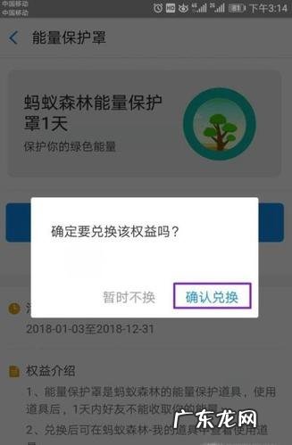 支付宝保护罩如何得到