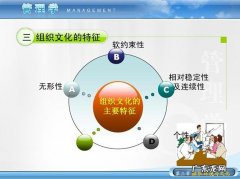 什么不是组织文化特征的体现