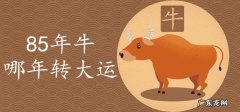 属牛的什么数字最旺