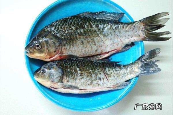 吃鲮鲫鱼有什么功效与作用