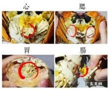 螃蟹开脐是什么意思