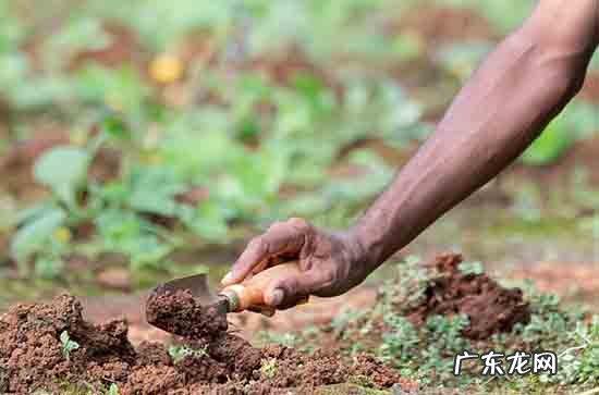 劳动节给天堂父亲的祝福语2024
