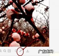 如何给图片加上马赛克