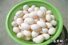 鸽子蛋的好处