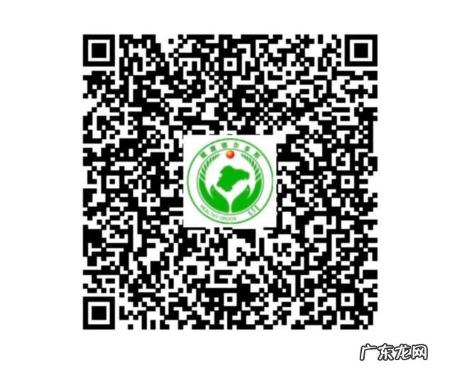 鄂尔多斯行程码怎么弄 鄂尔多斯行程码