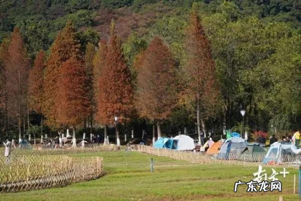 健康行程绿码是什么 健康行程绿码