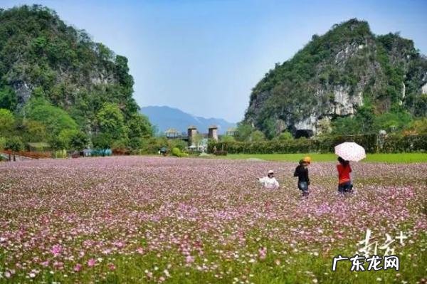健康行程绿码是什么 健康行程绿码