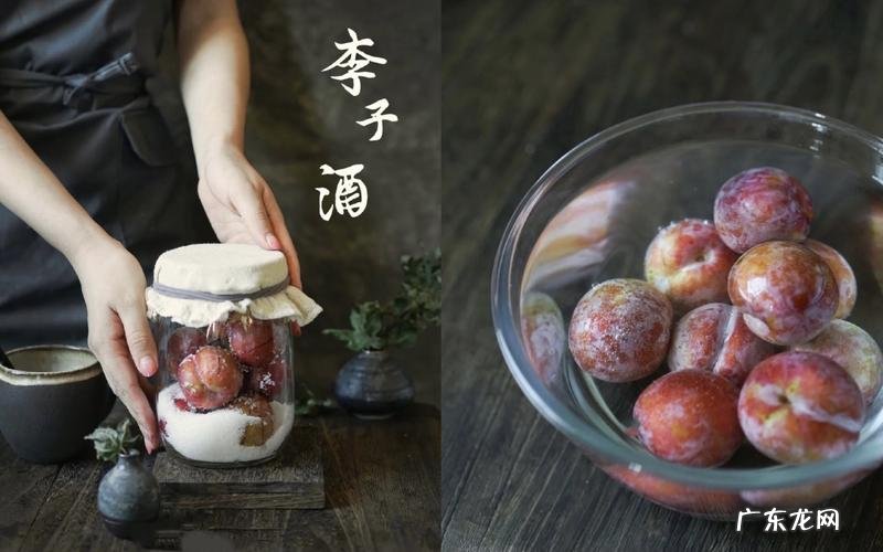 李子酒发酵多长时间