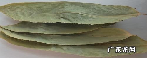 粽叶霉了能用吗