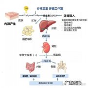 多囊卵巢综合征缺乏维生素d吗 维生素d与多囊卵巢的关系是什么