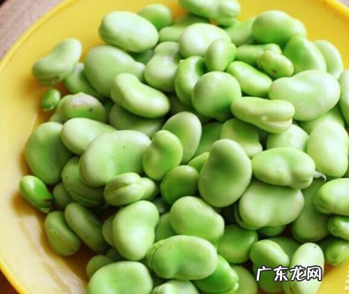 蚕豆怎么煮