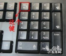 电脑键盘打不出字怎么回事