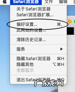 浏览器电脑版怎么打开