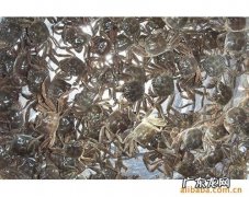 诗圣是谁 诗仙是谁