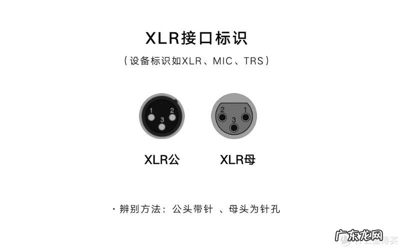 xlr接口是什么意思