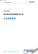 武汉优光累吗