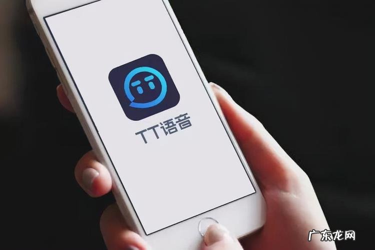tt语音苹果版叫什么