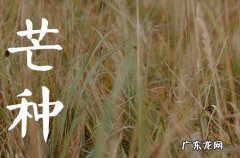 2023芒种吃什么水果好 有哪些功效