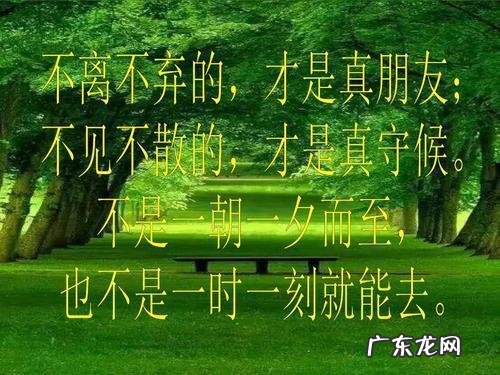 朋友之间的友谊说说