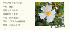 山茶花油的功效和作用