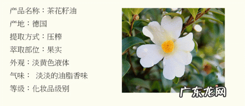 山茶花油的功效和作用