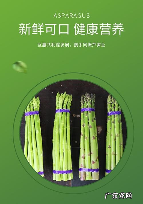 芦笋的药用功效与作用