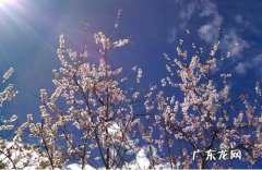 四月是什么季