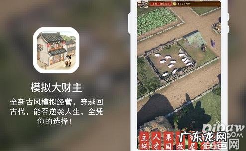 模拟大财主后院豆子干嘛的