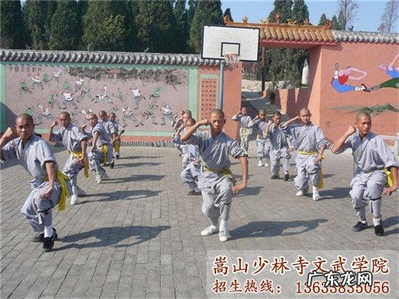 河南少林寺学校一年多少学费 少林寺学校一年学费是多少