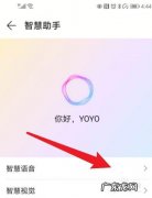 语音唤醒yoyo怎么读