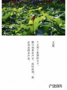又夏的寓意